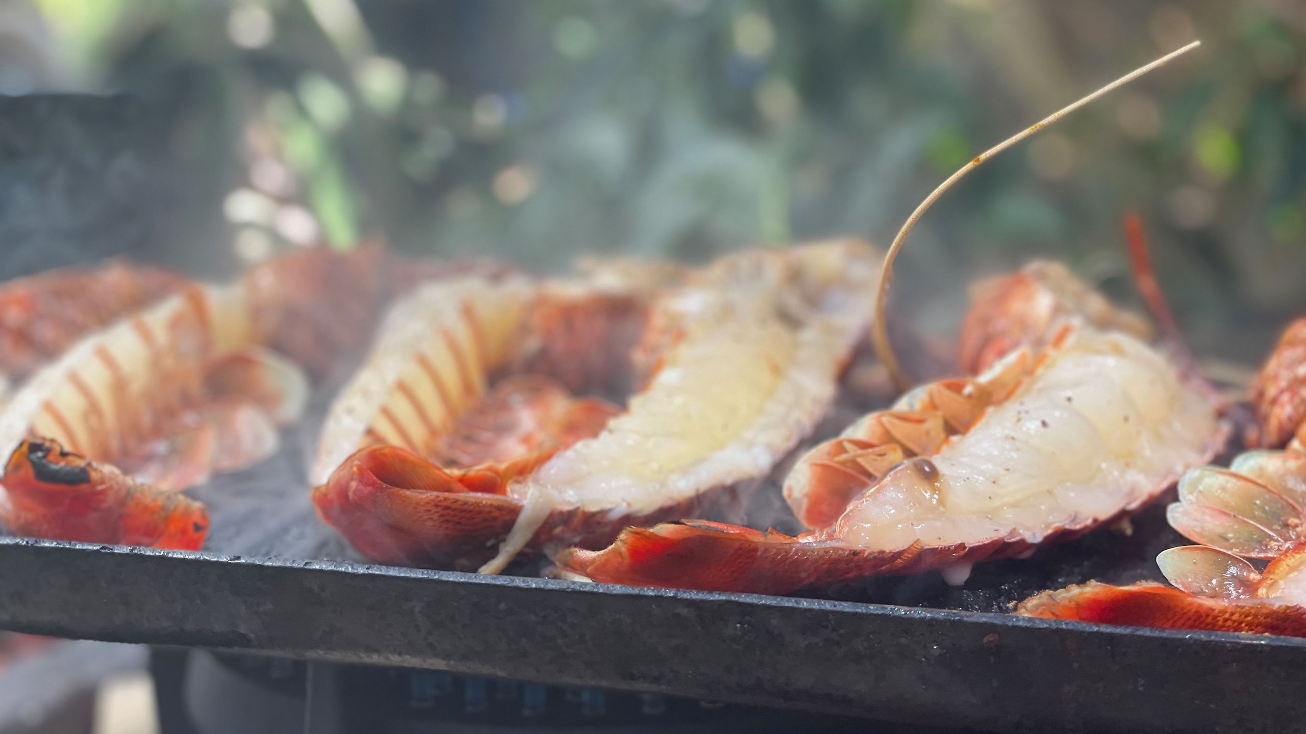 Three fresh Western-Australian rock lobster, with lemons, red chilli and parsley